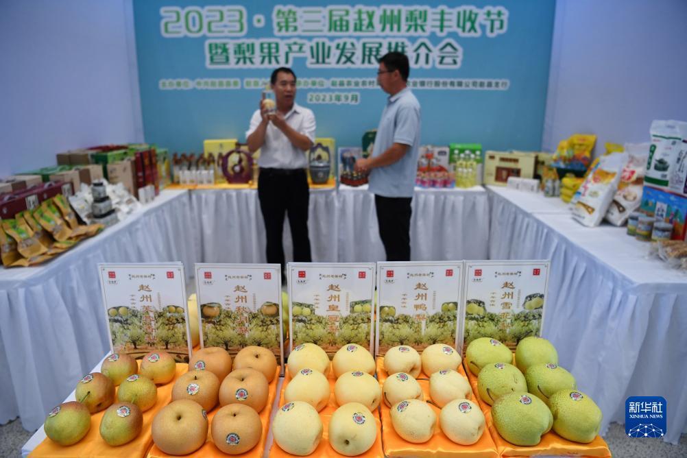 凯福德官方网站