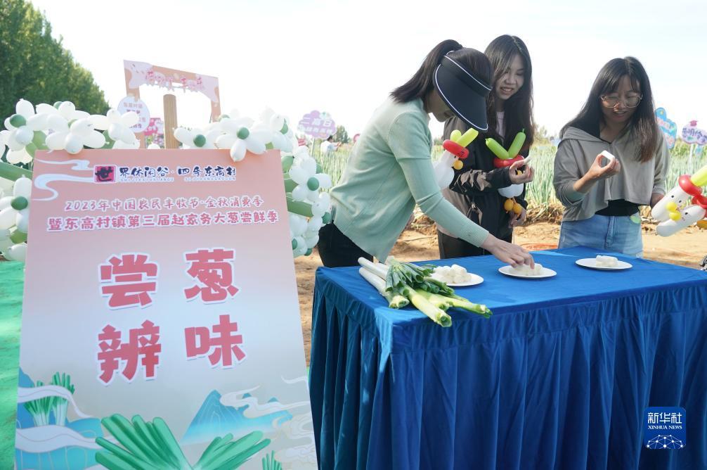 淘金大满贯下载